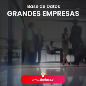 Base de Datos Grandes Empresas de Chile